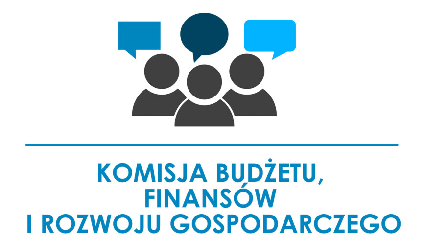 grafika: ludzie rozmawiają, komisja budżetu, finansów i rozwoju gospodarczego